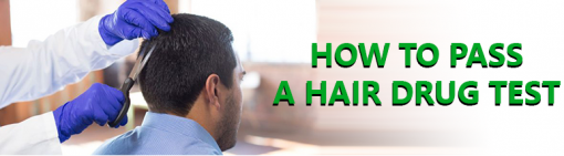 How To Pass A Hair Follicle Drug Test For Weed At Pass Hair Drug Test