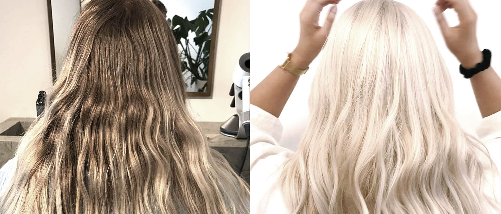 I bleached my hair and passed a drug test Pass Hair Drug Test