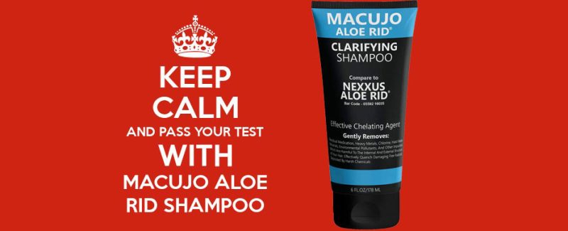 the macujo aloe rid shampoo is the best option