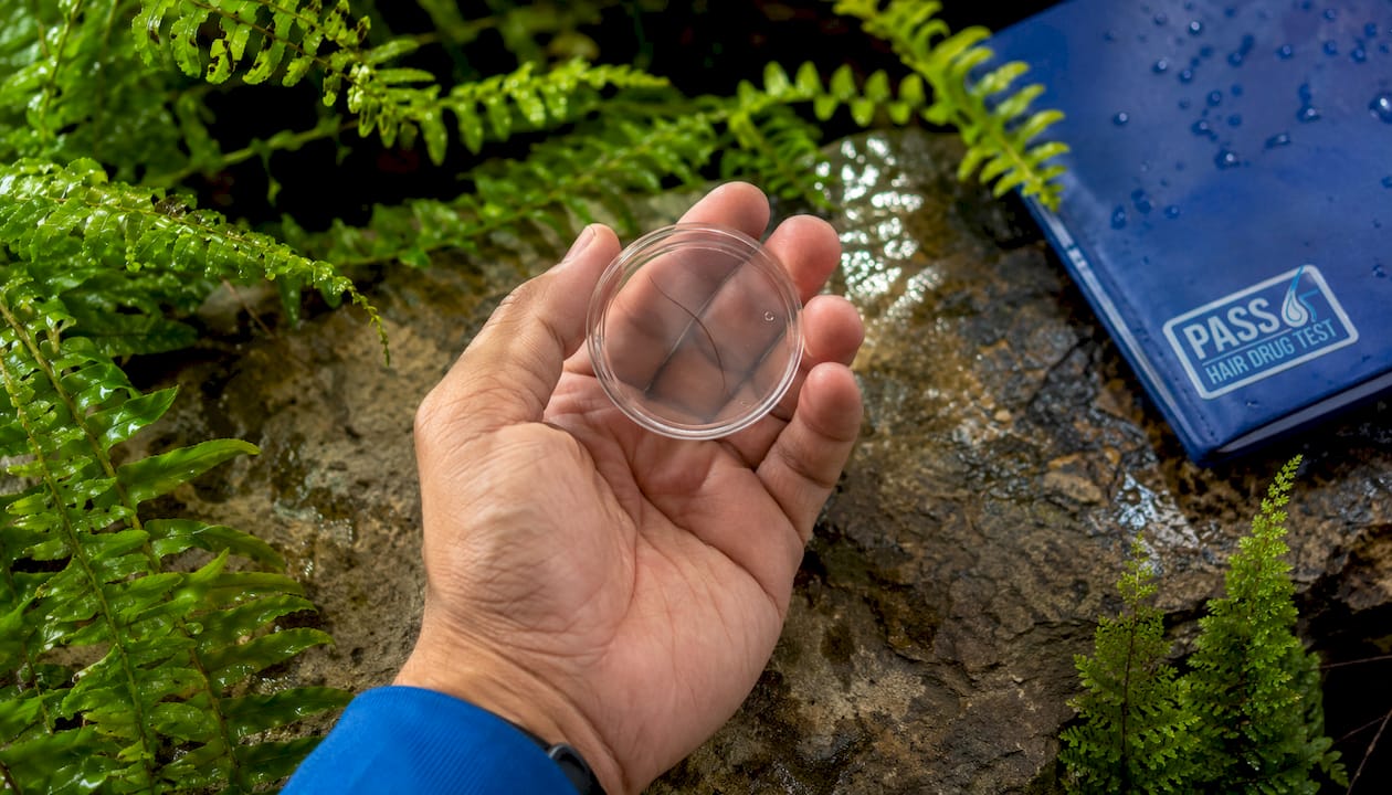 Hand holding petri dish with hair and nature elements