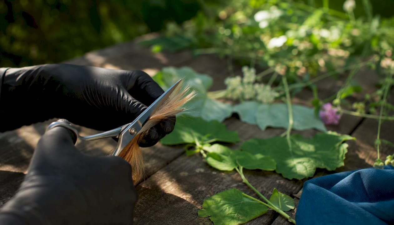 Gloved hand cutting hair strands with green leaves nearby