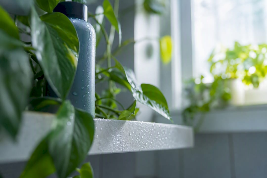 Detox shampoo bottle with green leaves in bathroom