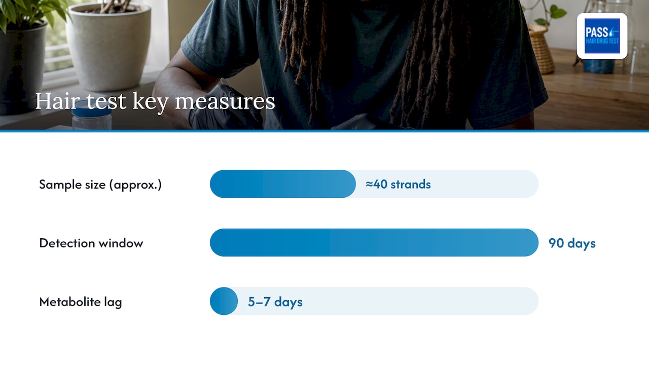 Hair sample size and root-to-tip timeline