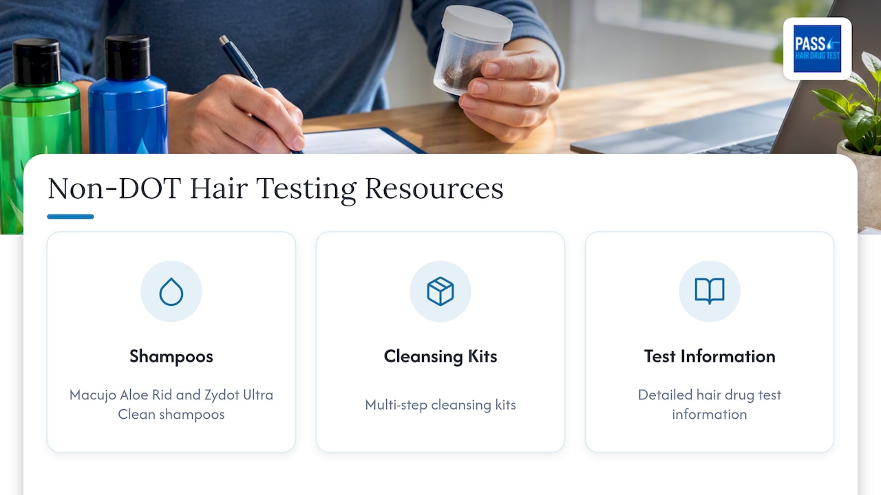 Resources for non-DOT hair testing programs — overview diagram