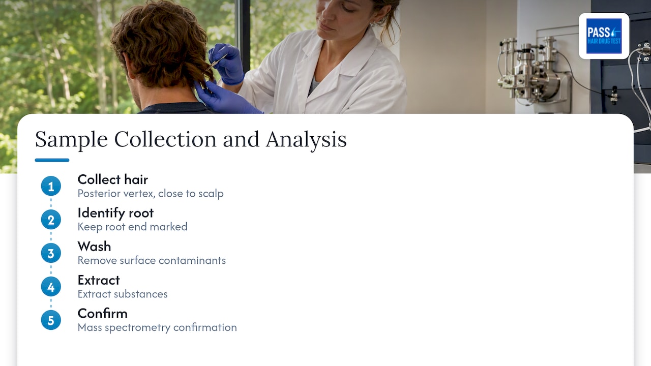 Hair sample collection and analysis stages