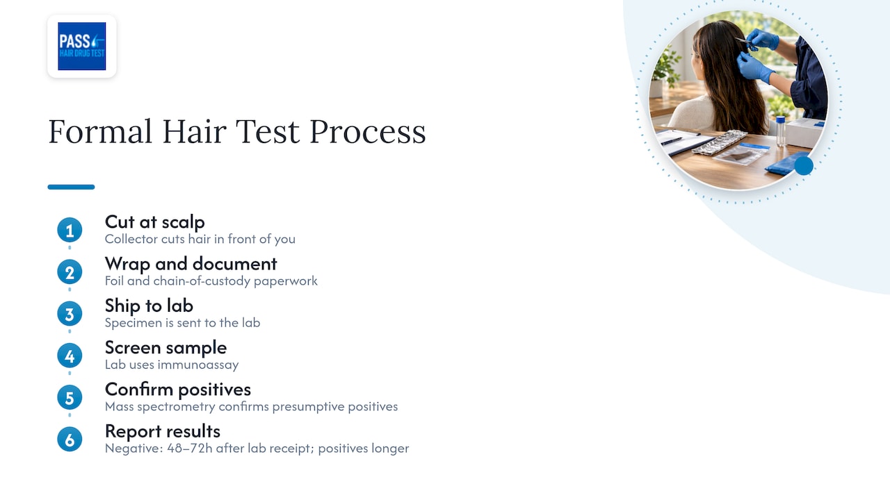 What to expect at a formal hair test, and if a result is disputed — overview diagram